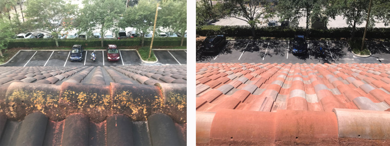 Multi-Unit Exterior Cleaning in Manhattan, Kansas