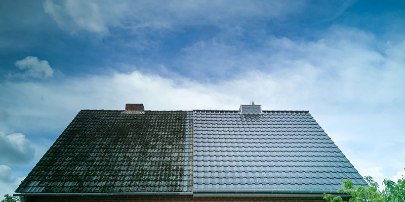 3 Wonderful Benefits of Roof Softwash Services