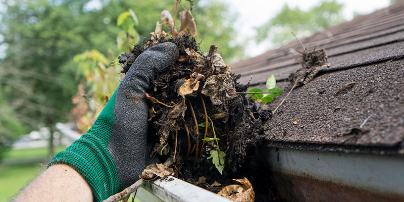 Get ready for winter with proper gutter cleaning services!